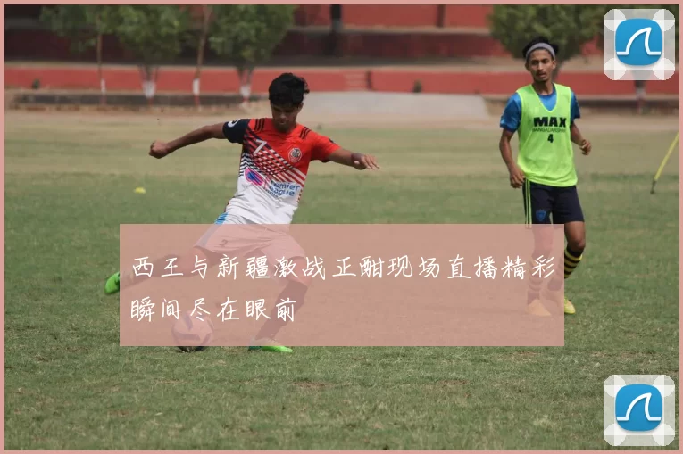 西王与新疆激战正酣现场直播精彩瞬间尽在眼前