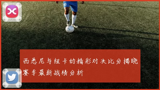 西悉尼与纽卡的精彩对决比分揭晓赛季最新战绩分析