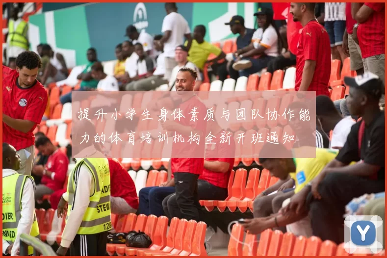 提升小学生身体素质与团队协作能力的体育培训机构全新开班通知
